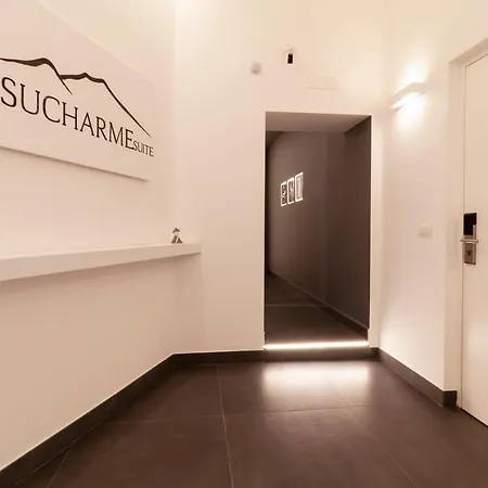 Vesucharme Luxury 4* Nápoles