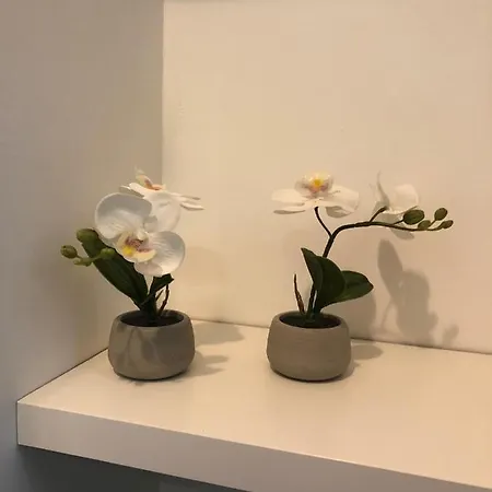 Vesucharme Luxury فندق مبيت وإفطار 4*